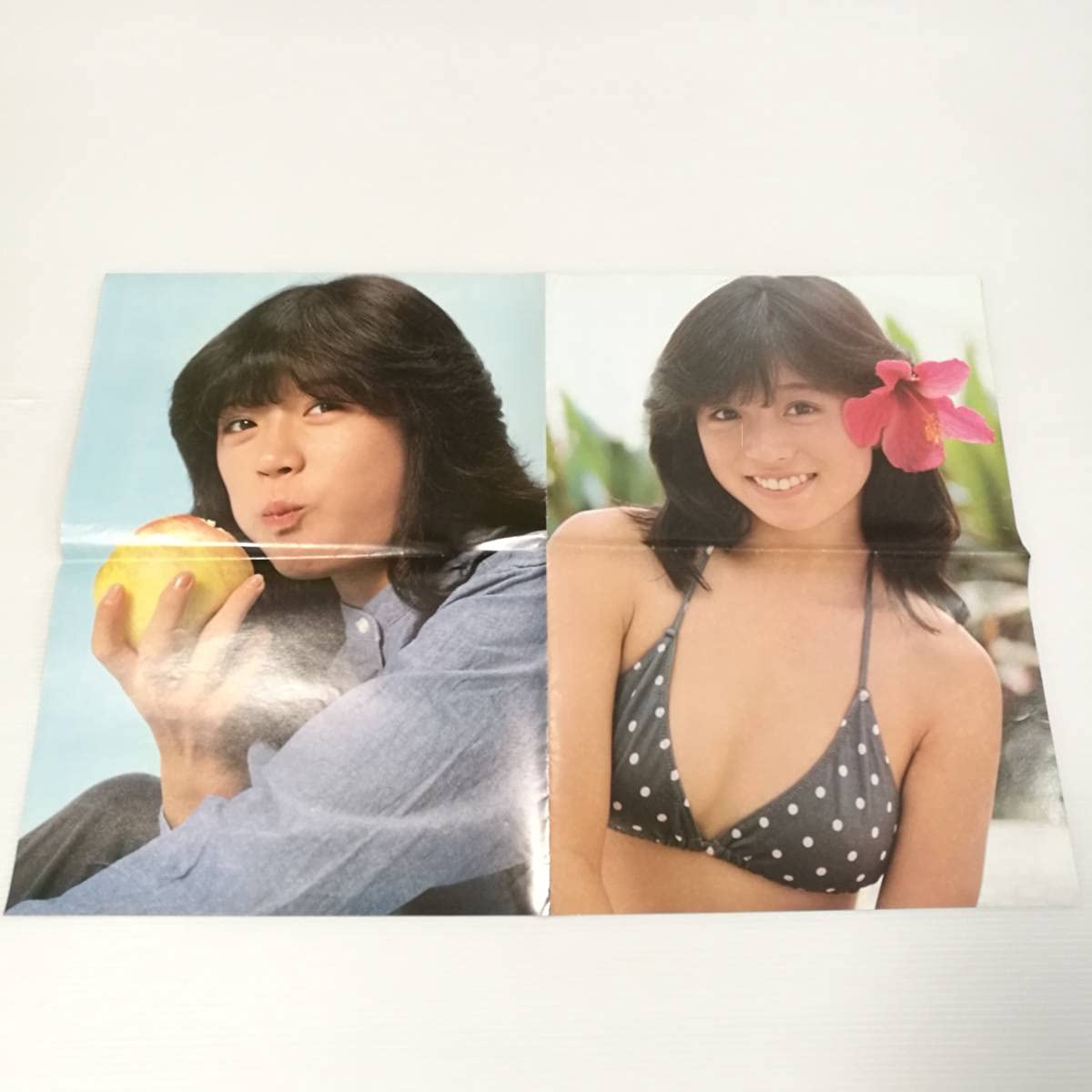 Amazon.co.jp: [D52]中森明菜 水着 ポスター/ビキニ/ポスター/レトロ